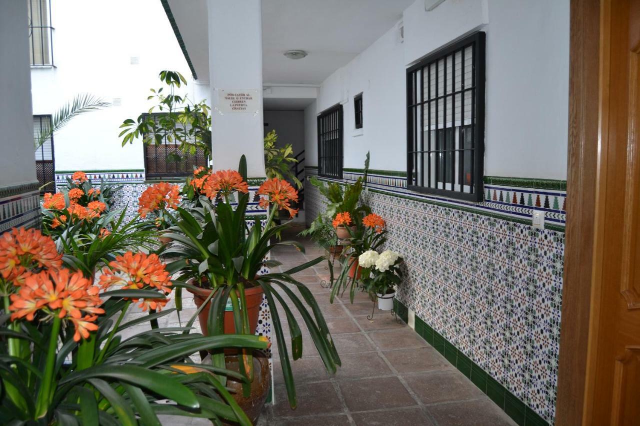 Appartamento Nuevo Sueno Del Alcazar Cordova Esterno foto