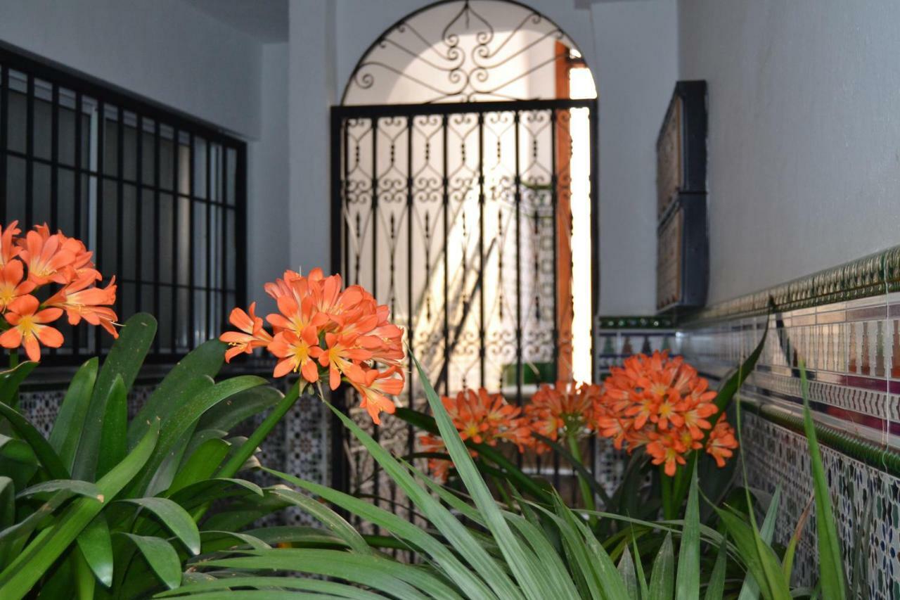 Appartamento Nuevo Sueno Del Alcazar Cordova Esterno foto